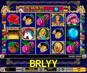 BRLYY FAQ — perguntas frequentes usuários Brasil